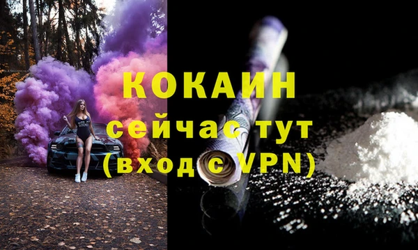 молекула духа Богданович