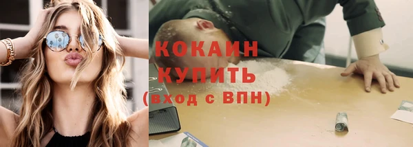 молекула духа Богданович
