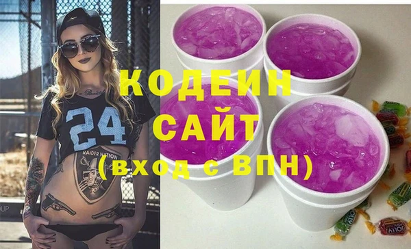 молекула духа Богданович