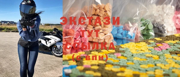 молекула духа Богданович