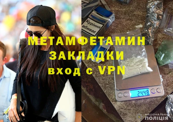 молекула духа Богданович