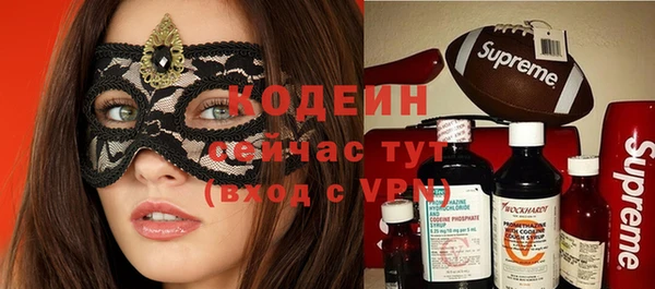 молекула духа Богданович