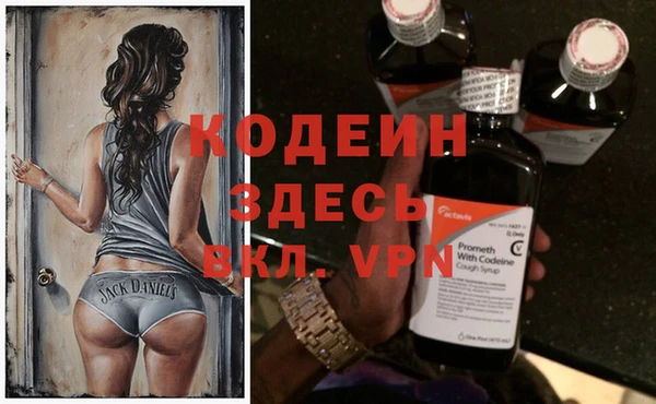 молекула духа Богданович