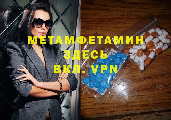 молекула духа Богданович