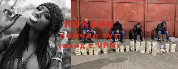молекула духа Богданович