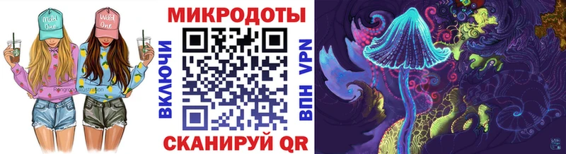 закладки  Тулун  Псилоцибиновые грибы GOLDEN TEACHER 
